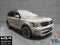 2023 Kia Telluride SX-Prestige X-Pro