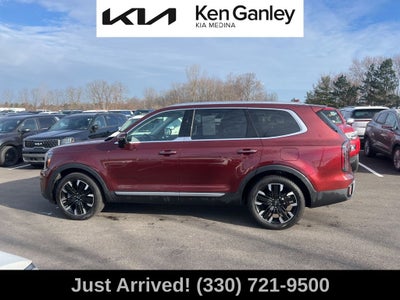 2024 Kia Telluride SX